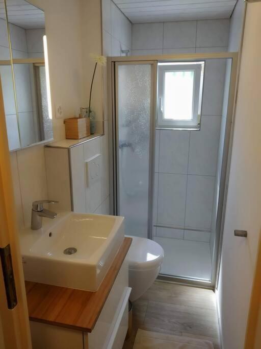 Bijou 1 Huebsche 1 Zimmer Wohnung Герізау Екстер'єр фото